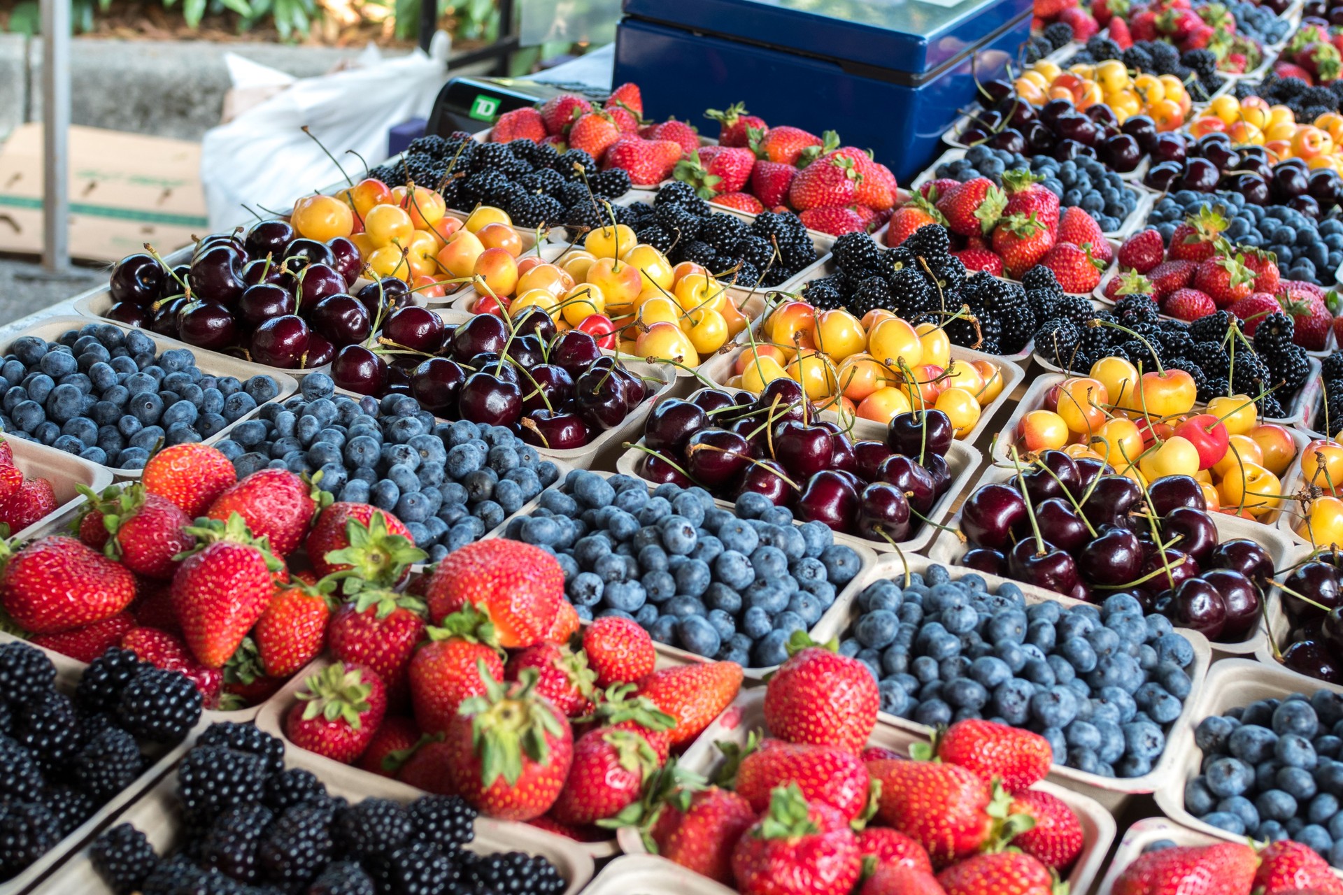 Organic Fresh Berries